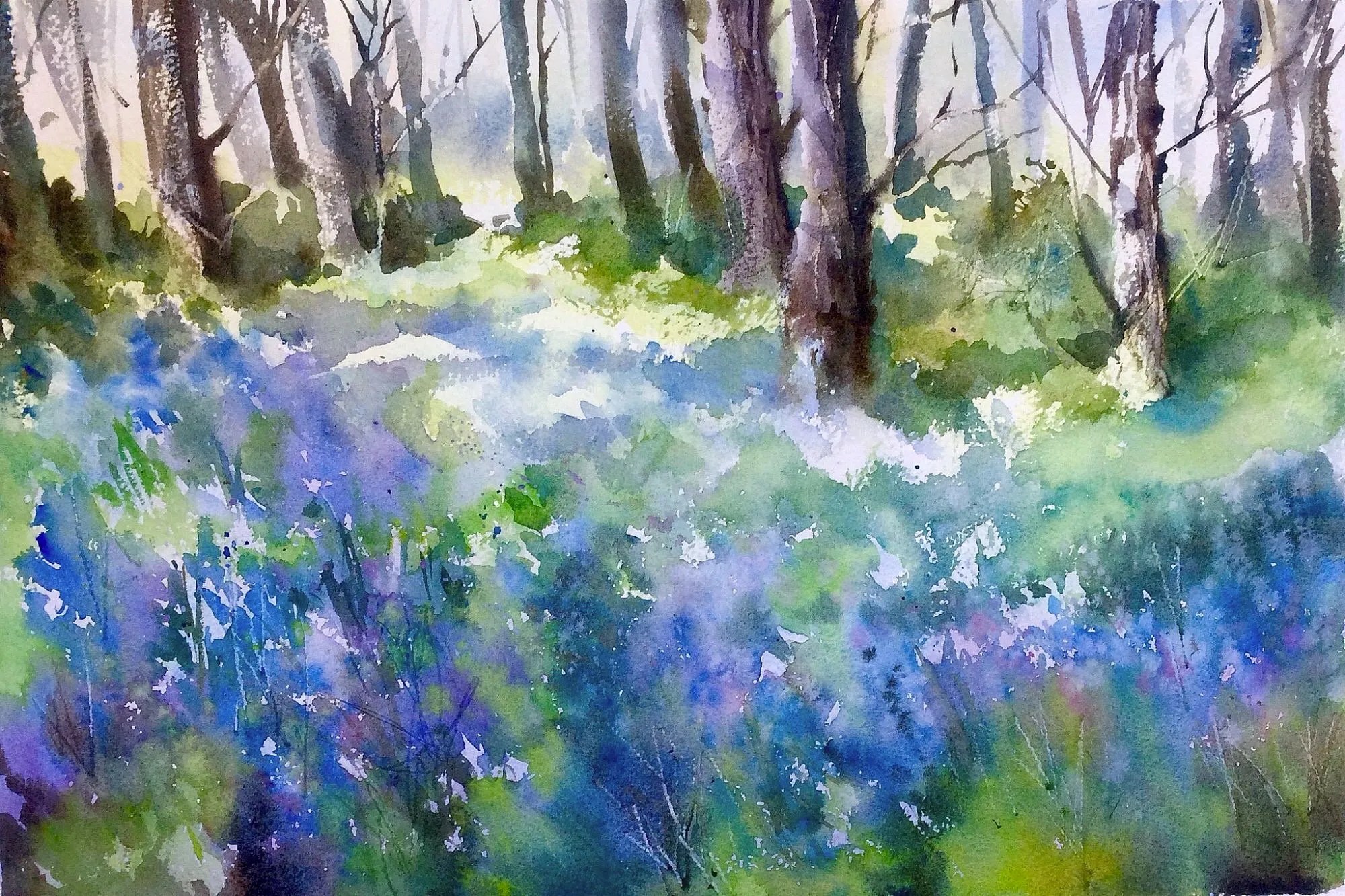 Bluebells / Watercolour / SOLD Trevor Waugh