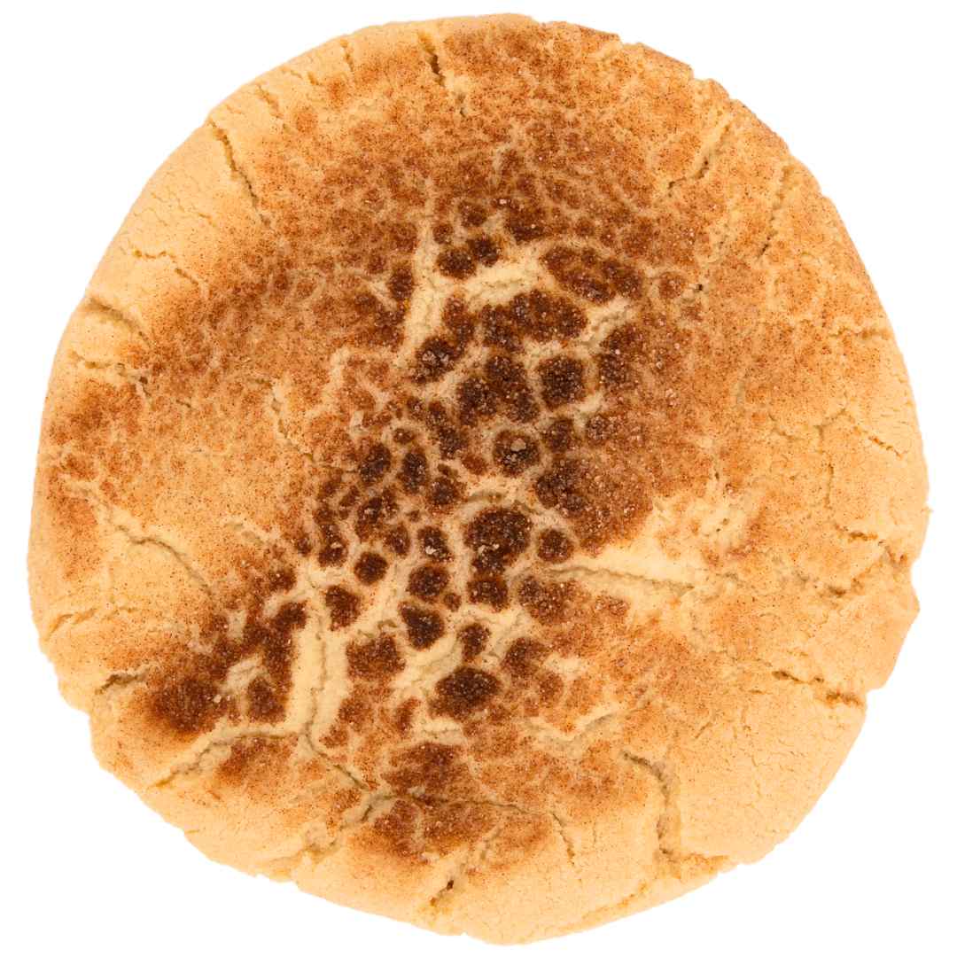 Snickerdoodle TRex Cookie