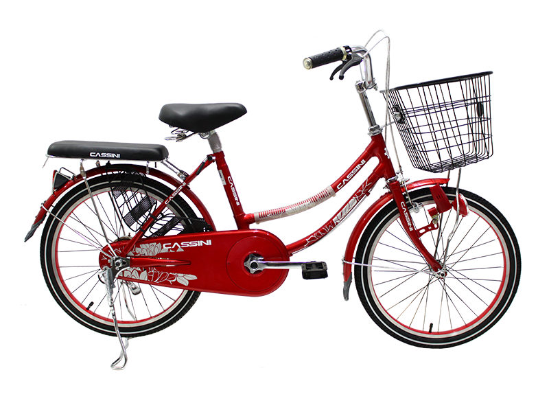 Sepeda Mini 20 Cassini 8802