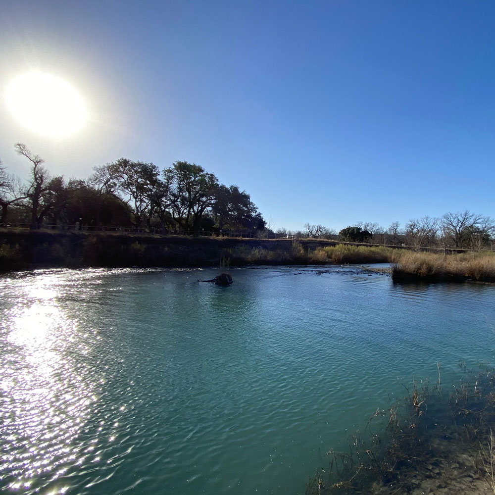 Trey Sullivan Texas Real Estate