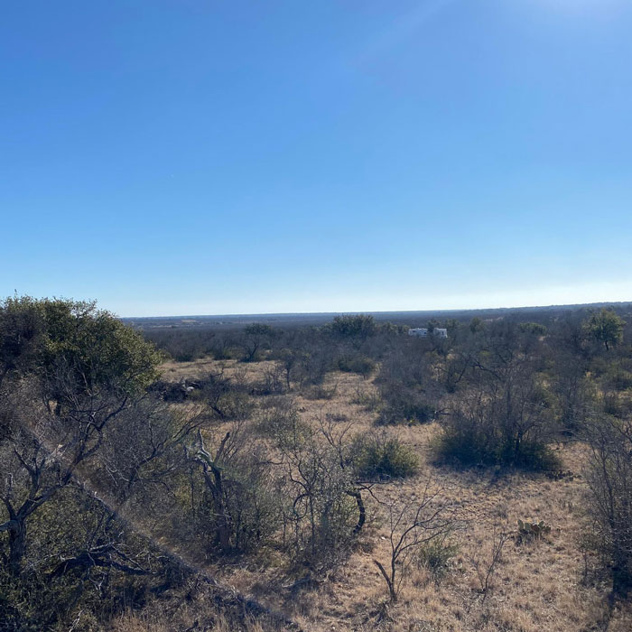 Trey Sullivan Texas Real Estate