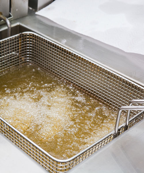 Deep Fat Fryer Replacement TRI Austin