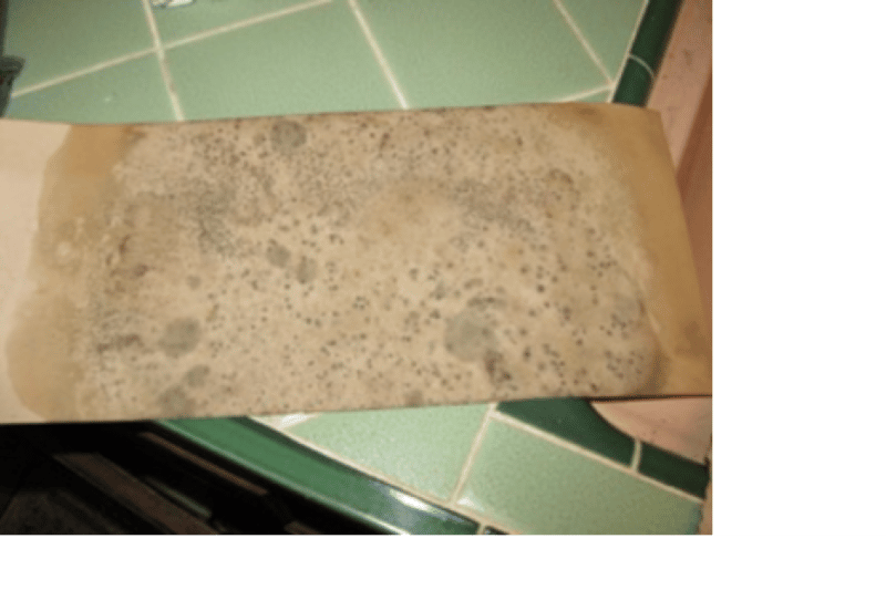 Why You Should Never Ignore Mold and Smoke Damage