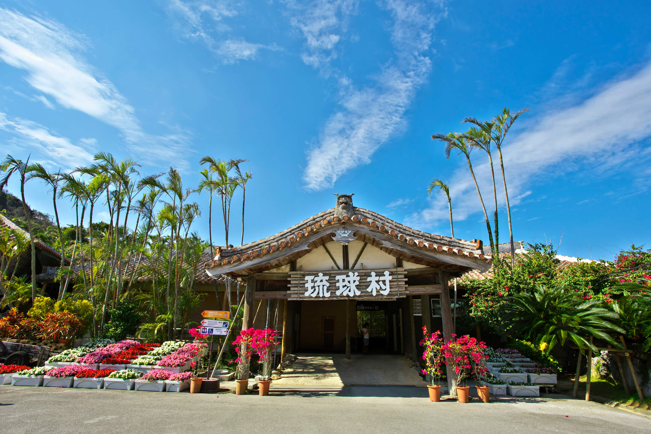 Book your 5 day Tropical Okinawa trip with Triangle Travel