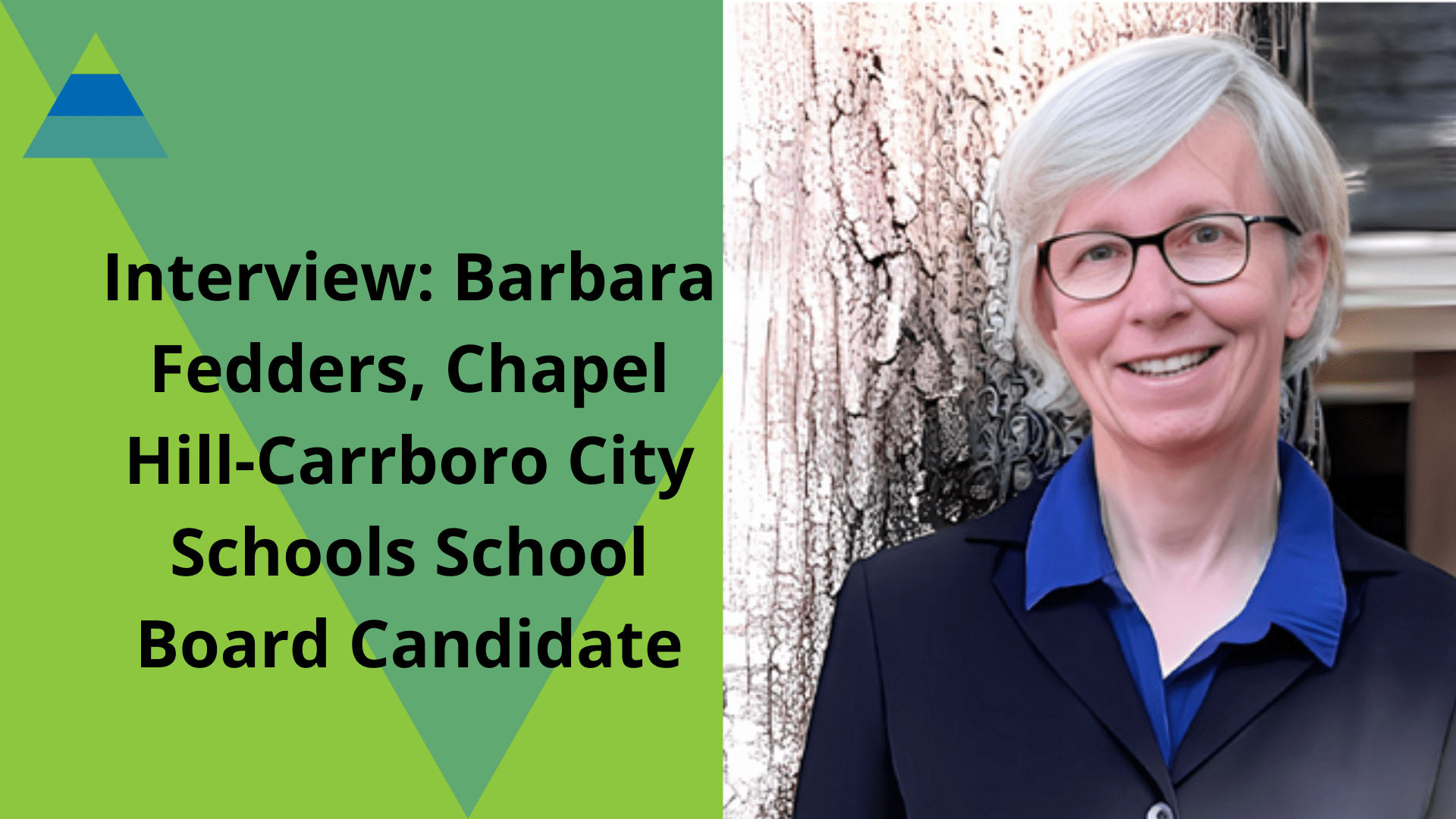 Interview CHCCS School Board Candidate Barbara Fedders Triangle Blog