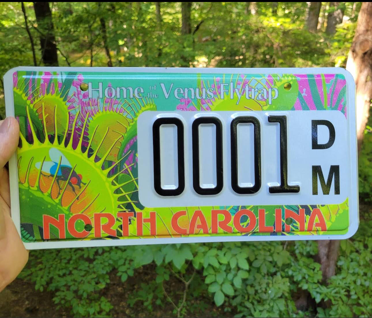 Exclusive: We interview the guy with the #1 Venus Flytrap License Plate
