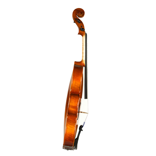 Standard Series Viola Rental Reservation Triangle Strings