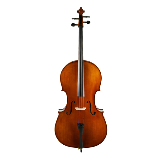 Standard Series Cello Rental Triangle Strings