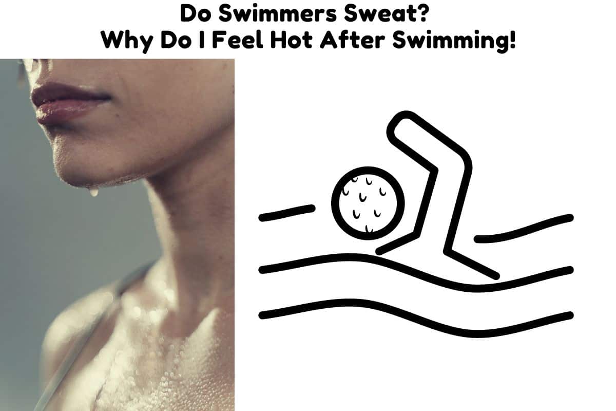 Do Swimmers Sweat? Why Do You Feel Hot After Swimming! Triathlon