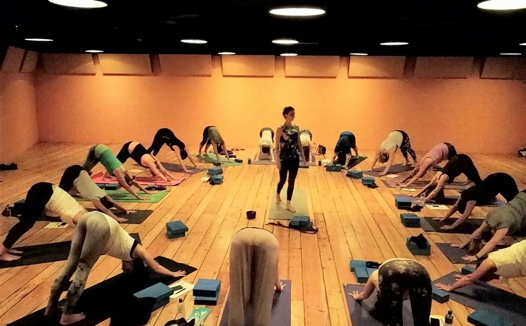 Online Yoga with Gaia Tribe Yoga