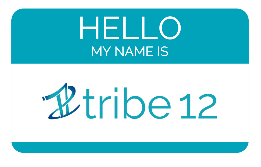 What’s in a name? A whole lot when the name is “Tribe 12” Tribe 12