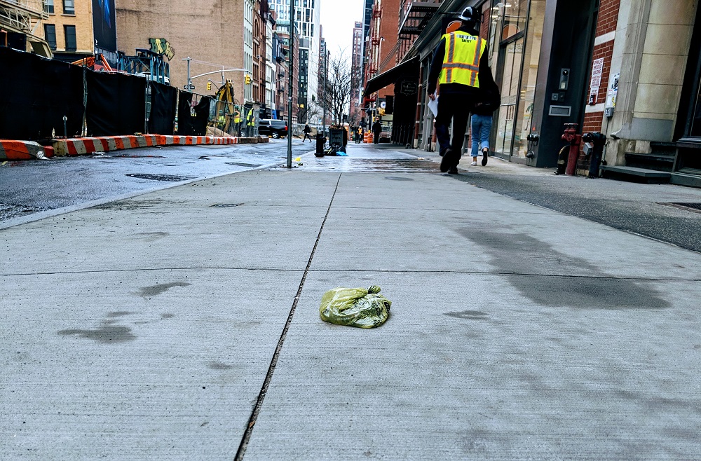 Why Does My Dog Poop On Concrete