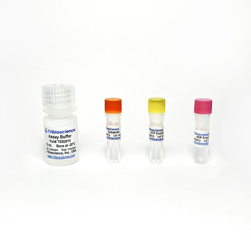 ADP/ATP Ratio Assay Kit (Bioluminescent) (TBS2015) Tribioscience