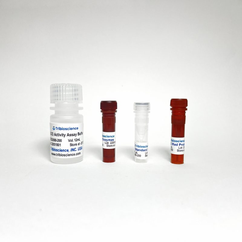 Fast Glucose Oxidase Activity Assay (Colorimetric/Fluorometric