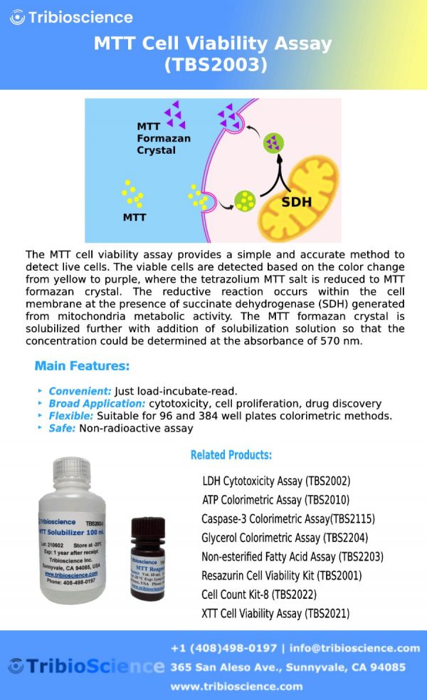MTT Cell Viability Assay Tribioscience