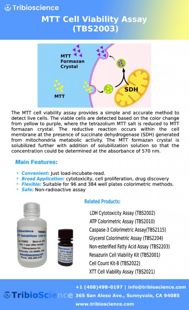 MTT Cell Viability Assay Tribioscience