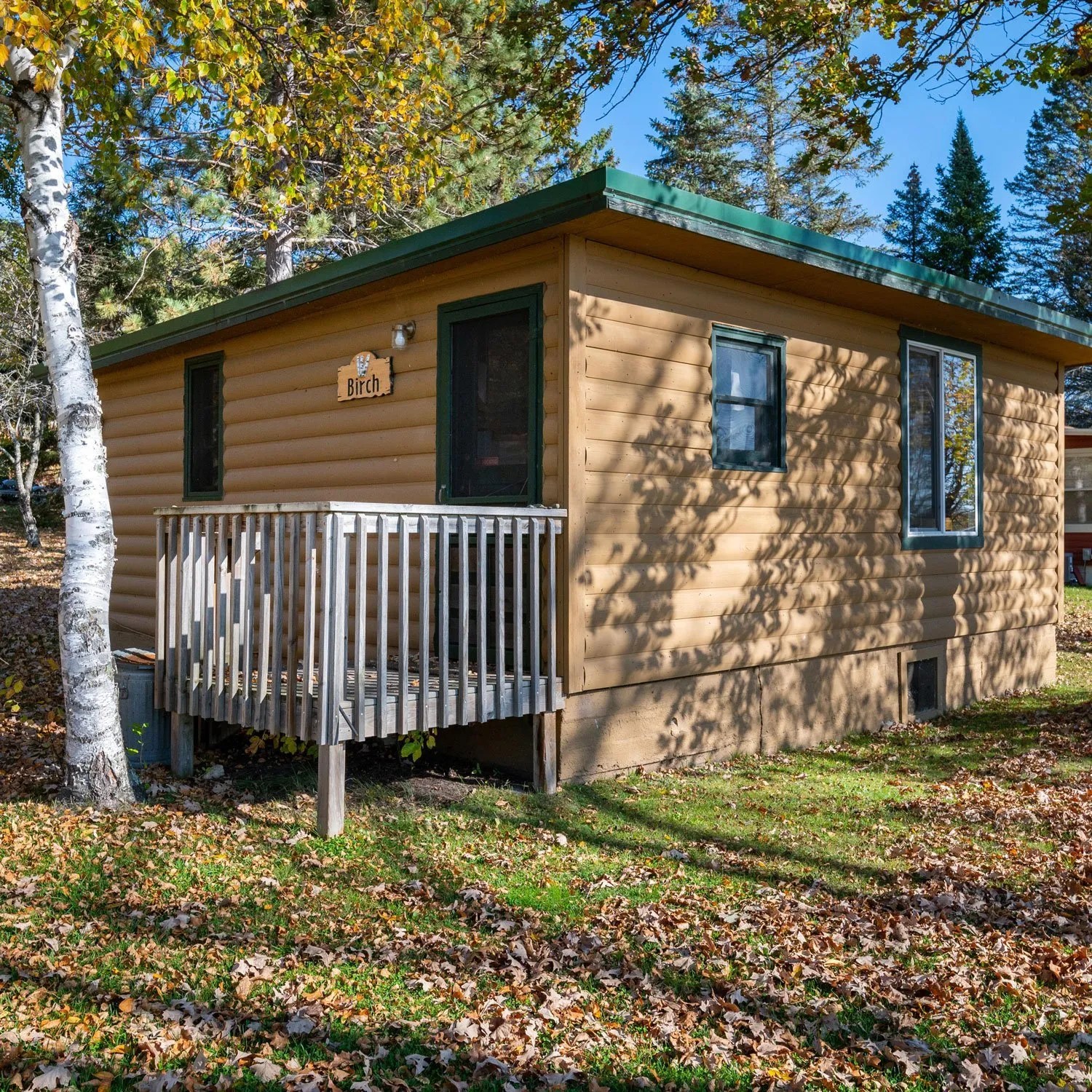 Birch Cabin TriBirches Resort and Campground