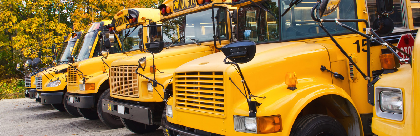 School Bus Drivers Wanted TriBoard