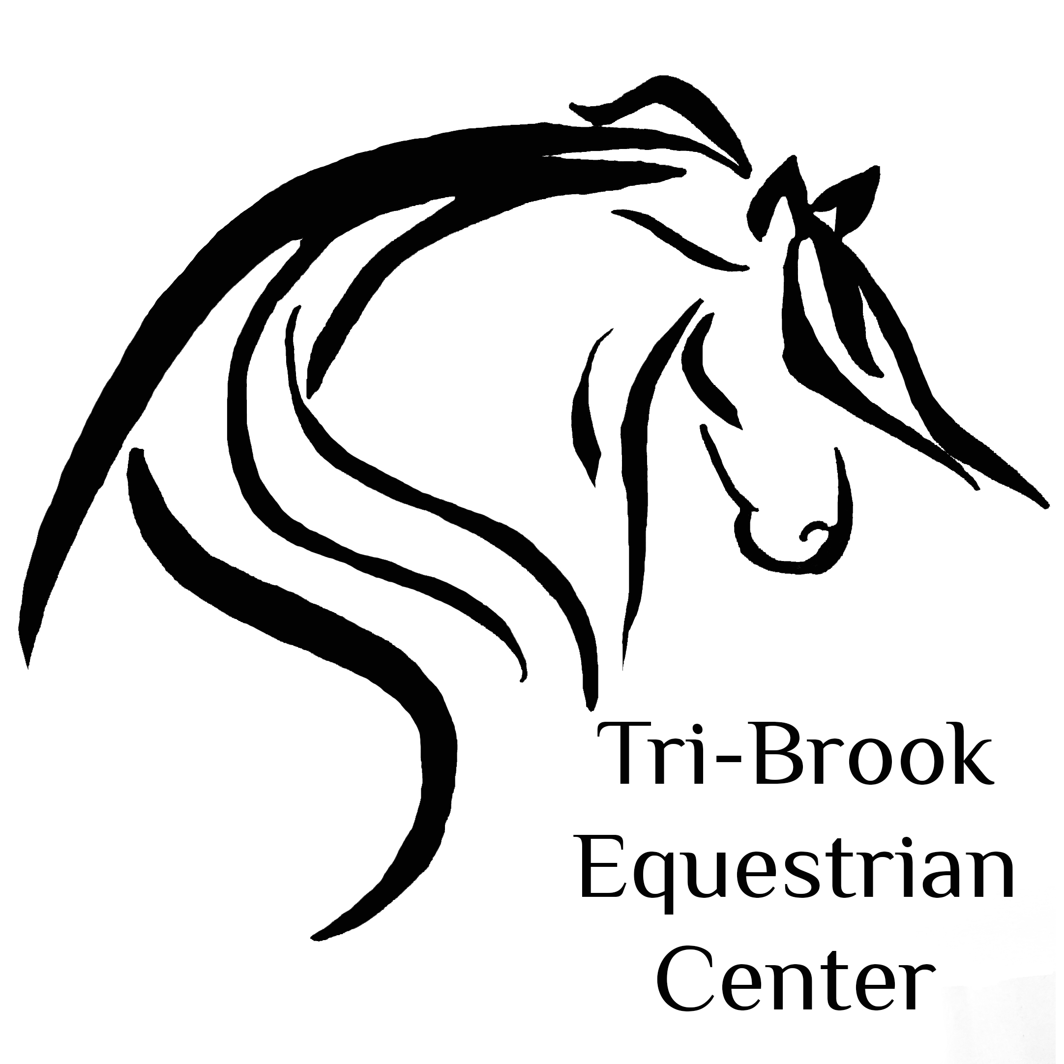 The Art of Doing Nothing with Horses TriBrook Equestrian Center