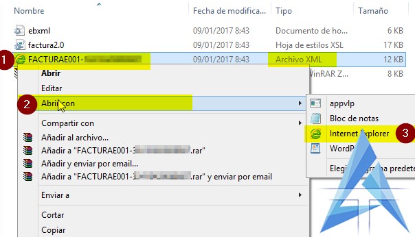 Como visualizar el ARCHIVO XML de una Factura electronica [Manual
