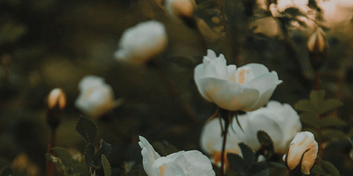 KinneyUnderwood Funeral Home Stamford, TX Funeral Home...