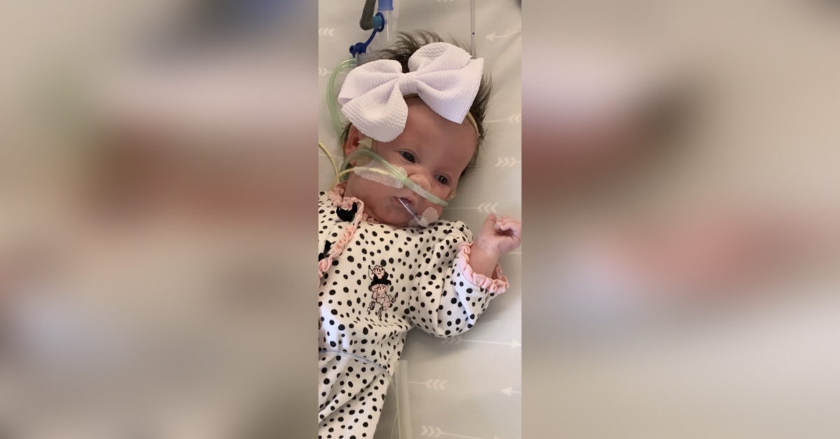 Sofia Shea Restrepo Obituary Visitation & Funeral Information