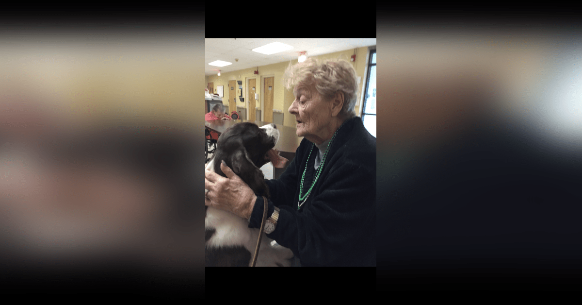 Obituary information for Ann M. Vaughn