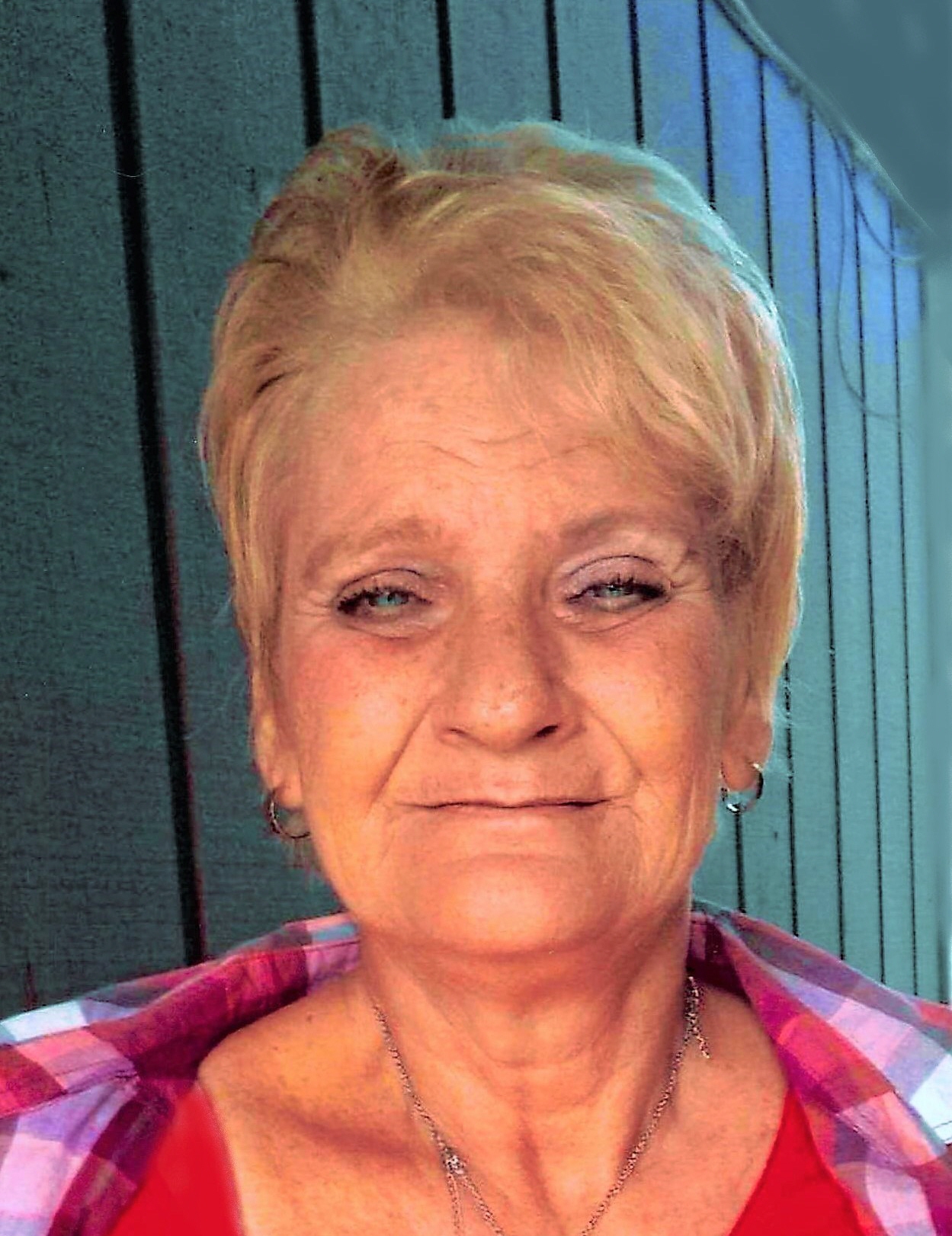 Juanita Diane Cornell 2021 Vickers Leslie & Springport Funeral Homes