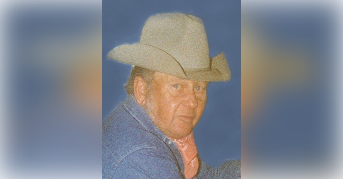 Obituary information for Merlin J Vig