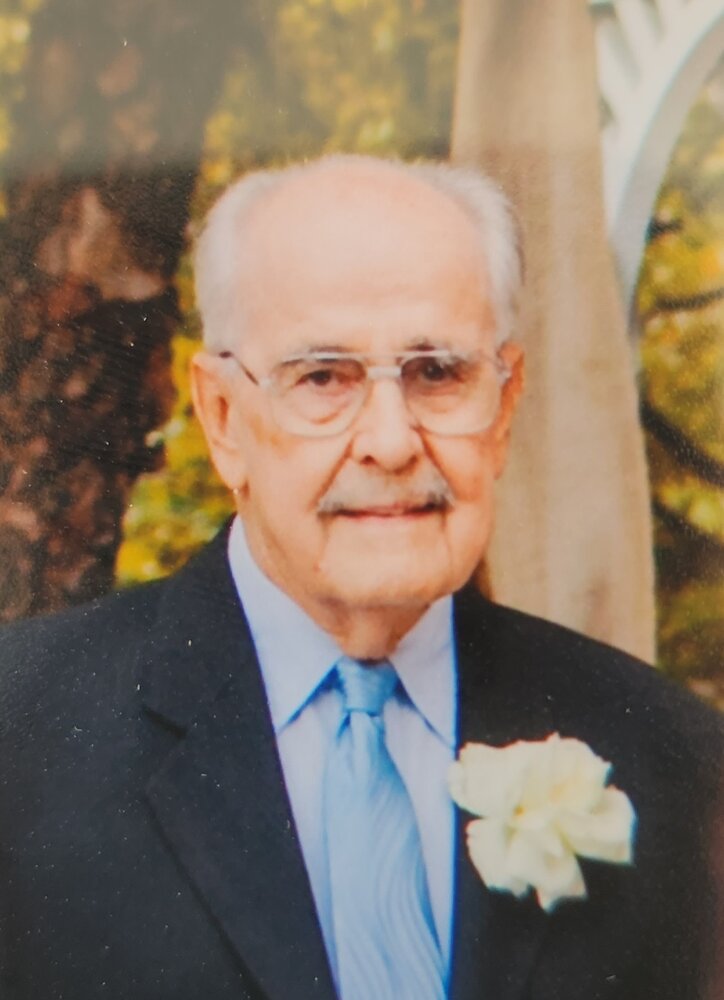 Alexander Romanchuk Memories Trees