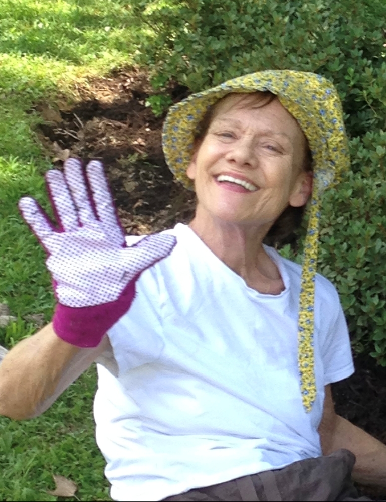 Suzanne Roe Memories Trees