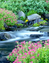 William B. Harriman Massachusetts Obituaries