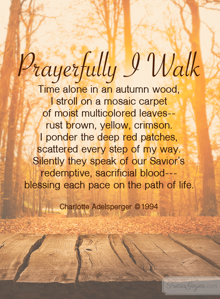 Are you enjoying fall?