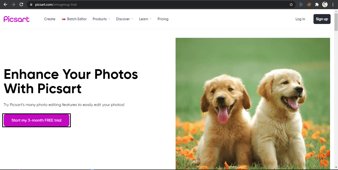 Picsart Gold Account 3মাসের জন্য Free Subscription Method [New Bin]
