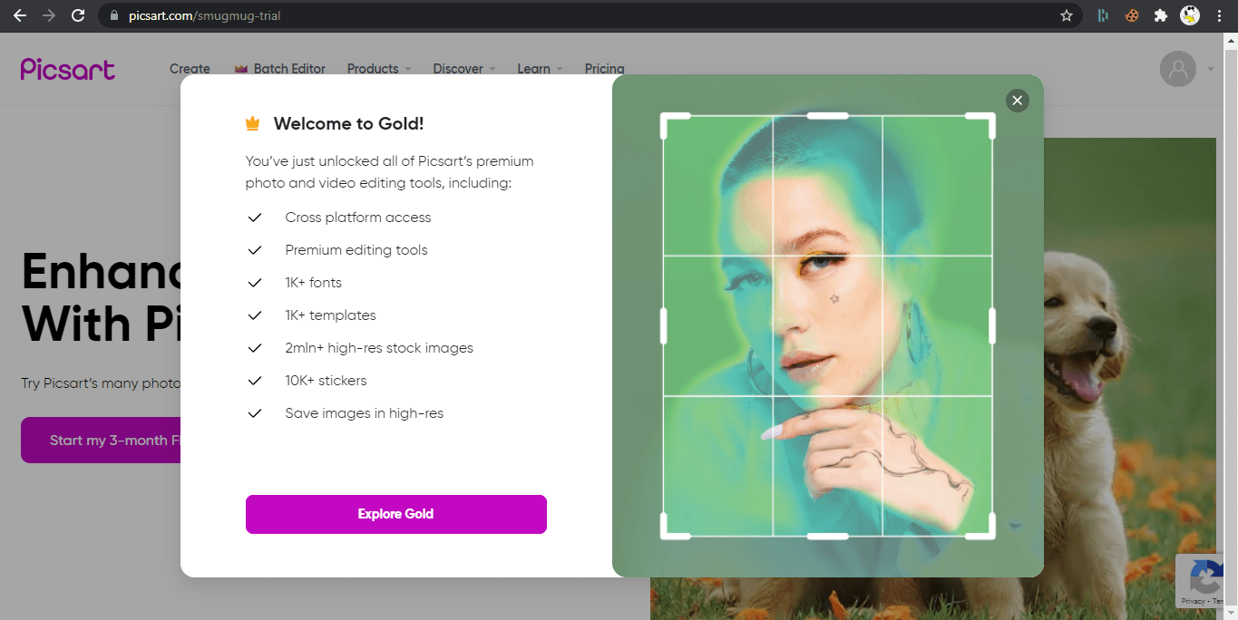 Picsart Gold Account 3মাসের জন্য Free Subscription Method [New Bin]