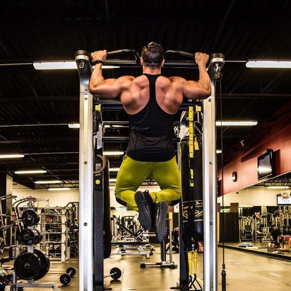 BUILDING MUSCLES AKA HYPERTROPHY TrickFul