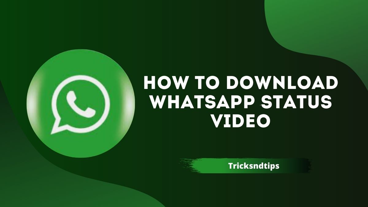 How to Download Photos & Videos From WhatsApp Status ( 100 Working