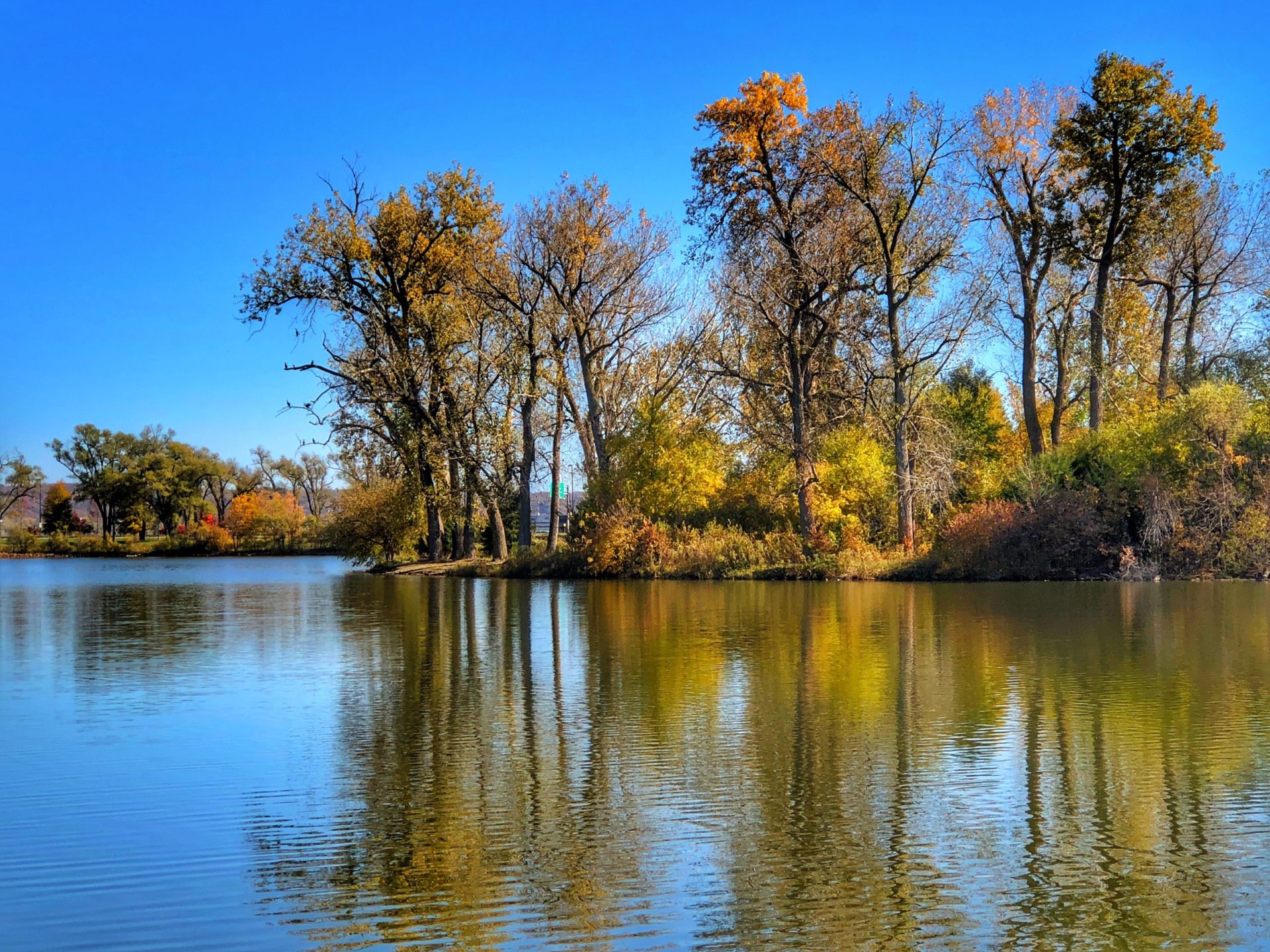 Is Fishing Good at Carters Lake? Trickyfish