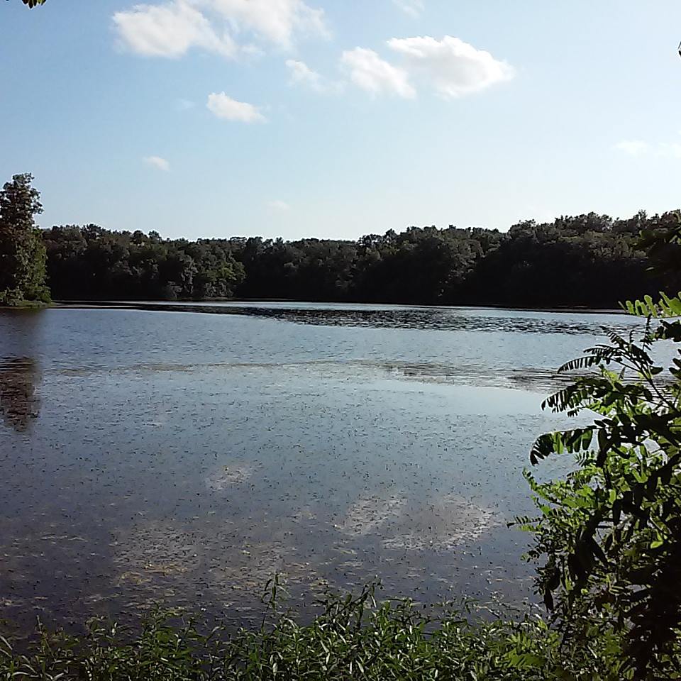 Is Coffeen Lake Open for Fishing? Trickyfish