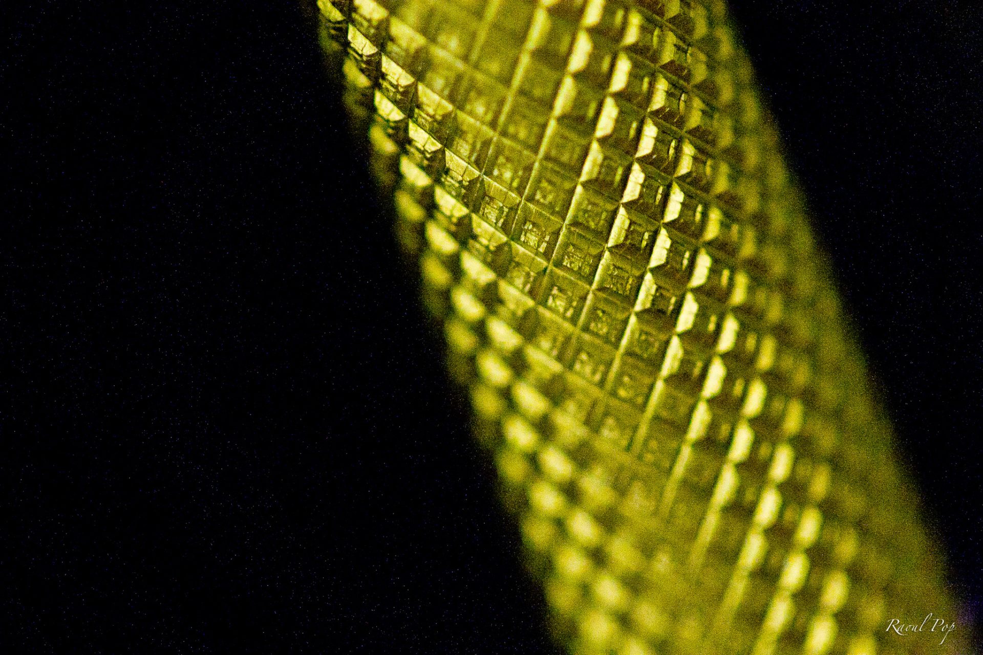 How Do You Clean Fishing Rod Grips? Trickyfish