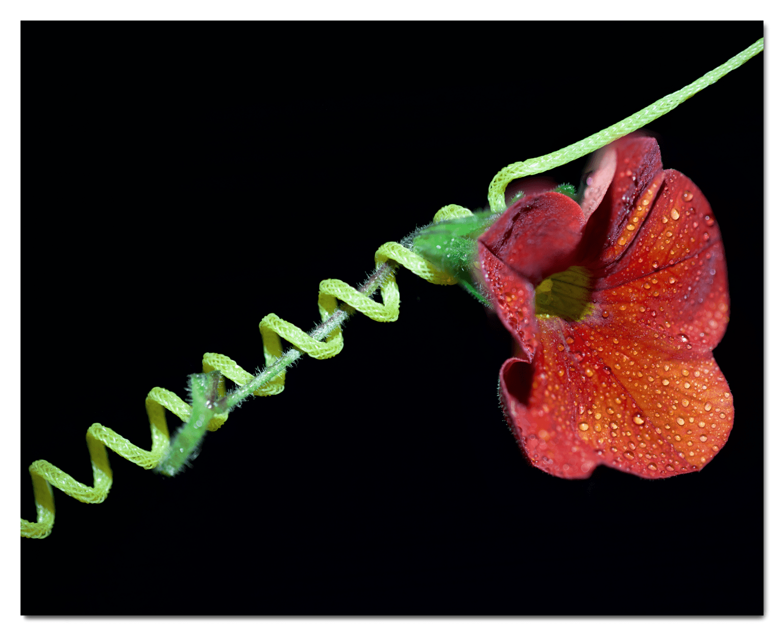 How Do You Tie a Strike Indicator Fly Fishing? Trickyfish