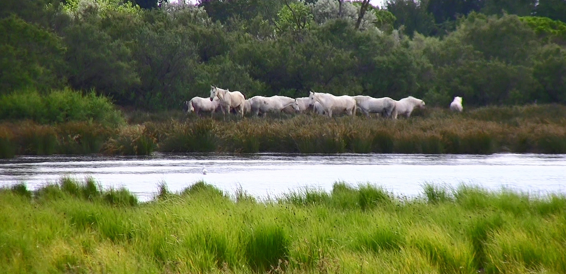 Is Caballo Lake Open for Fishing? Trickyfish