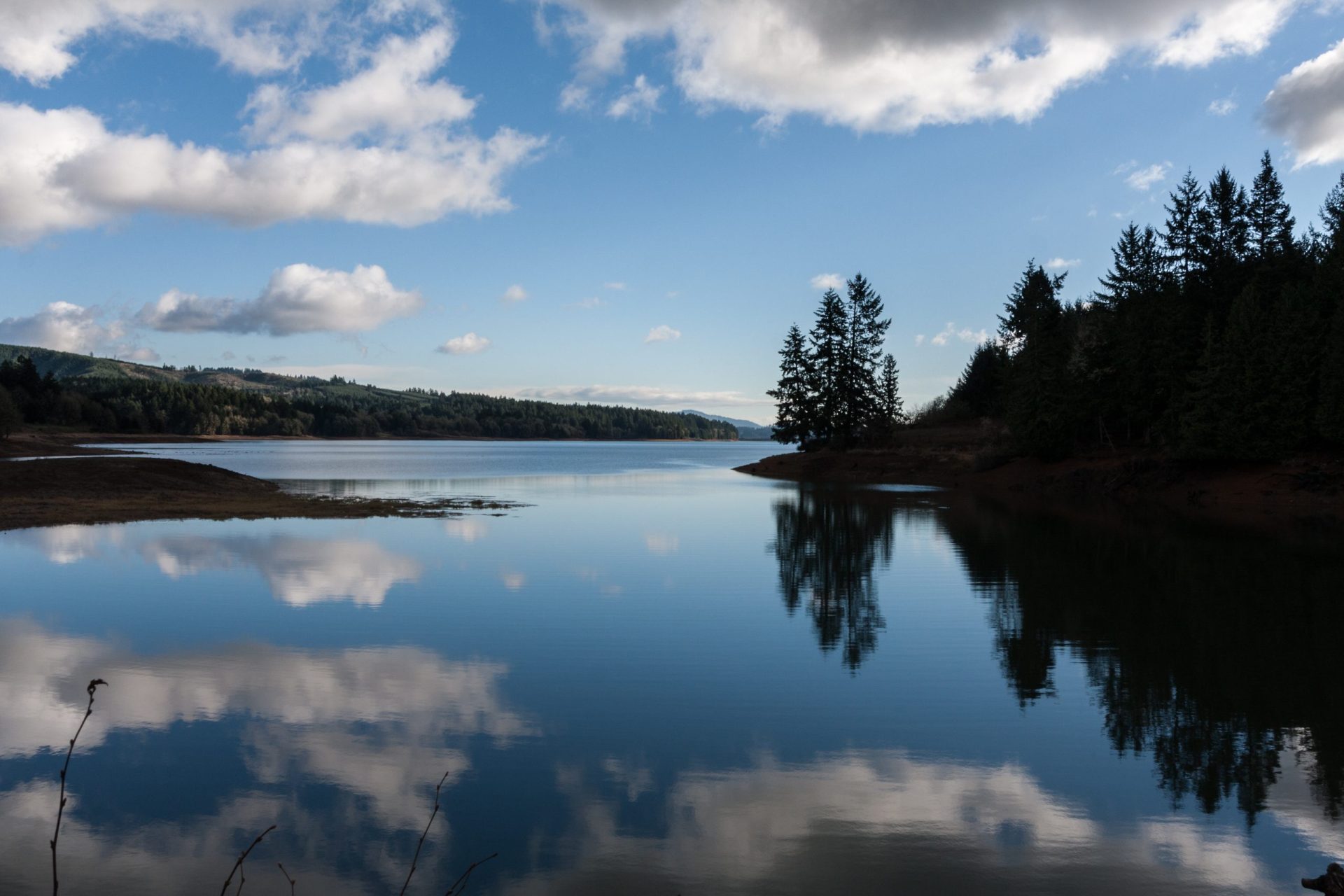 Is Hagg Lake Open for Fishing Right Now? Trickyfish