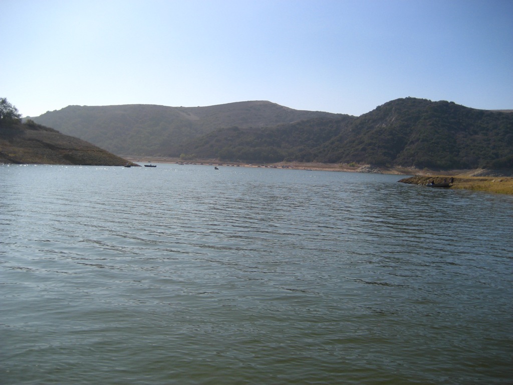 How Is the Fishing in Irvine Lake? Trickyfish