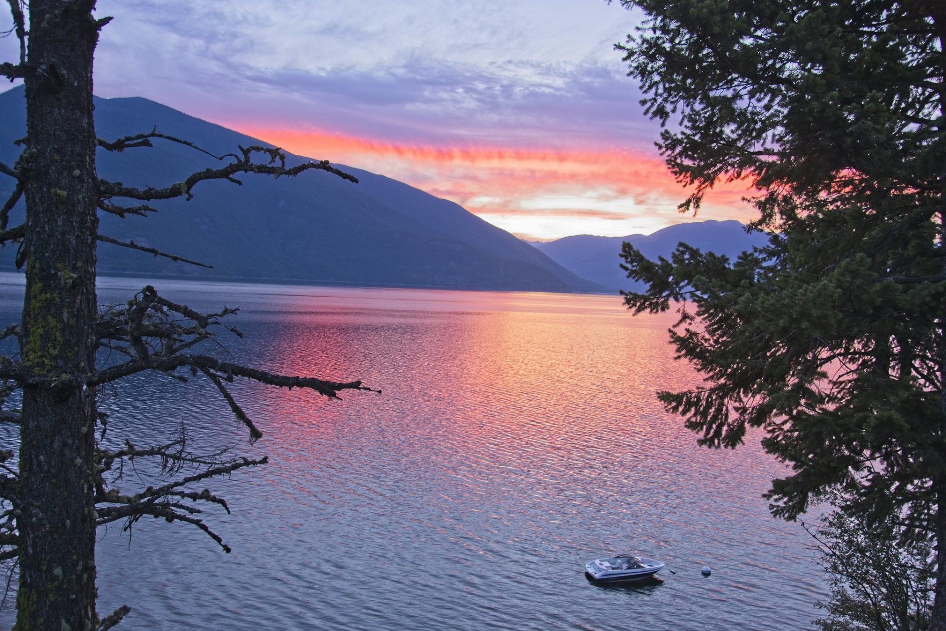 Is Kootenay Lake Good for Fishing? Trickyfish
