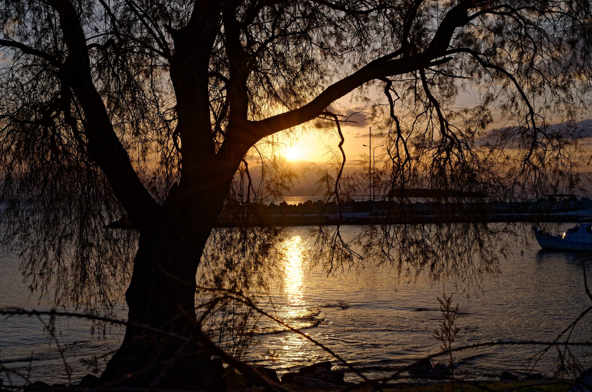 How Is the Fishing in Lake Athens? Trickyfish