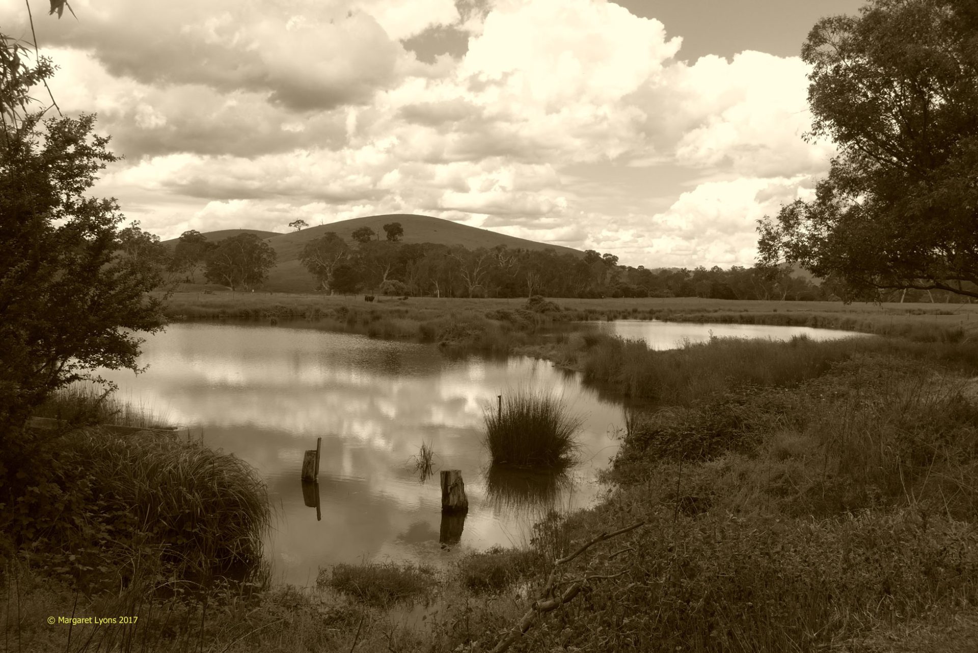 How Is the Fishing in Lake Eildon? Trickyfish