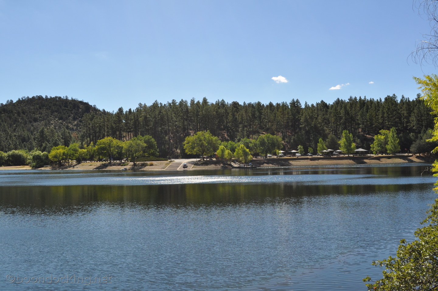 How Is the Fishing at Lynx Lake? Trickyfish