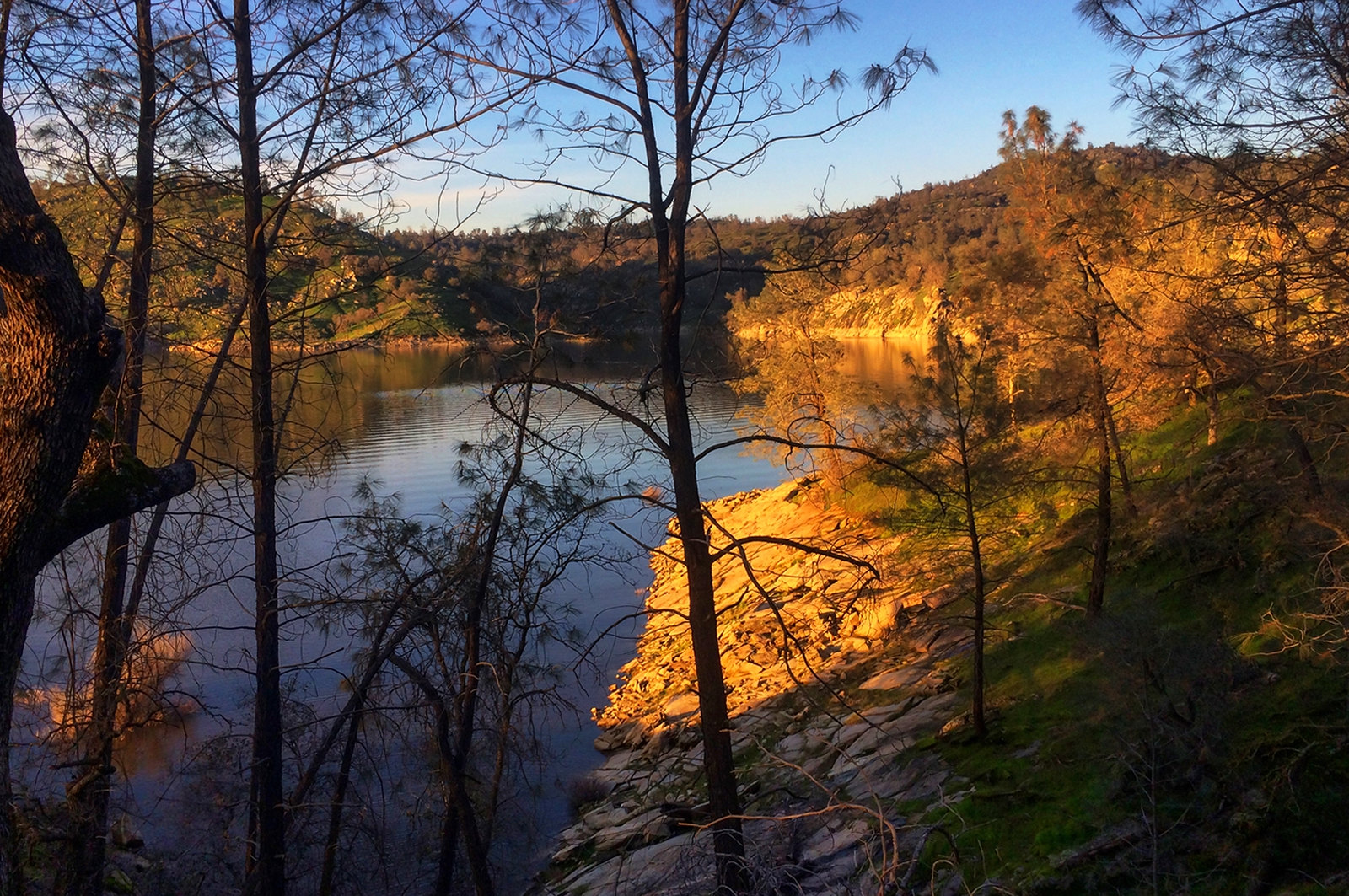 Is Millerton Lake Open for Fishing? Trickyfish