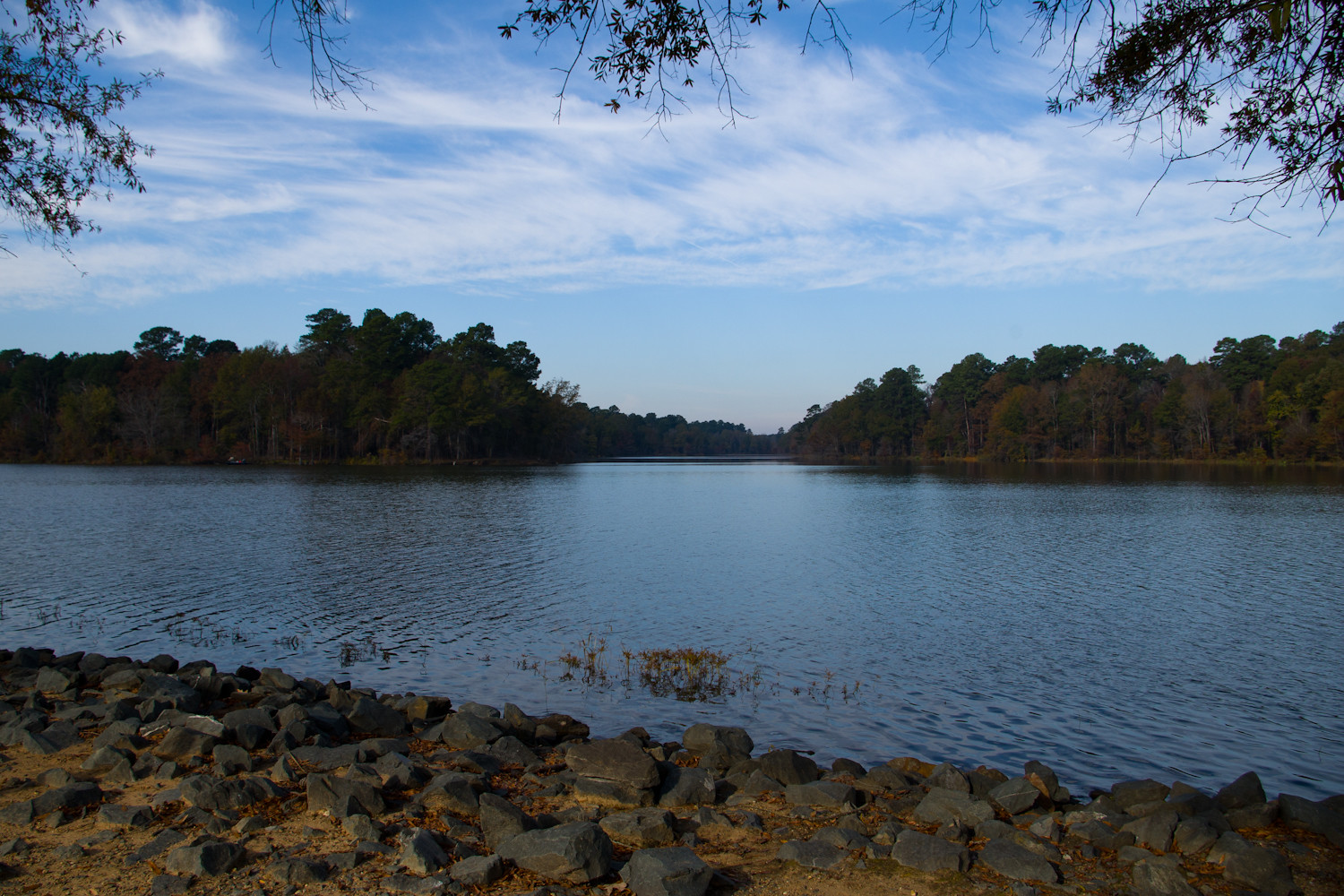 How Is the Fishing in Millwood Lake in Arkansas? Trickyfish